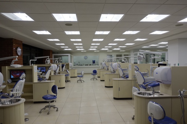 マレーシアレダン島の風景